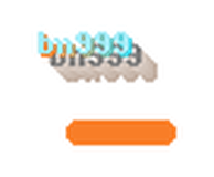 bn999 logo